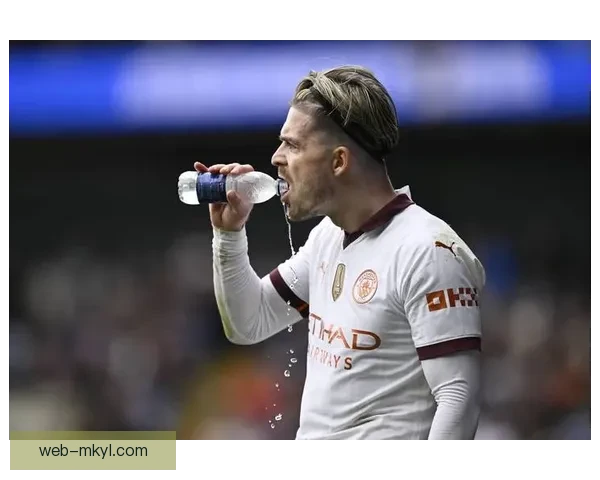 格拉利什因伤缺阵三个月 将缺席重要赛事