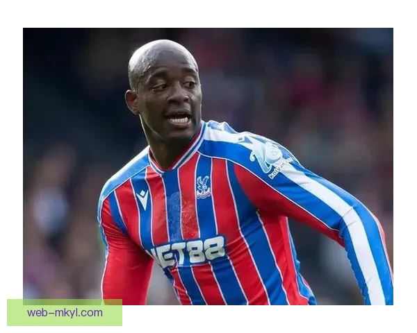 格拉斯纳赛季去向待定水晶宫队